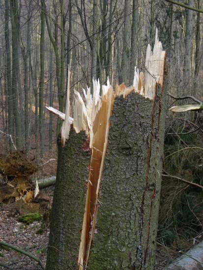 Foto(c)H.-Ulrich Apel