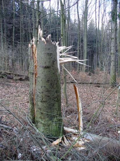 Foto(c)H.-Ulrich Apel