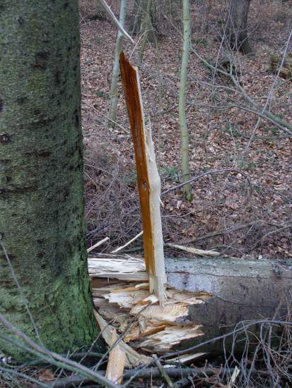 Foto(c)H.-Ulrich Apel