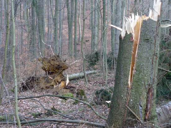 Foto(c)H.-Ulrich Apel