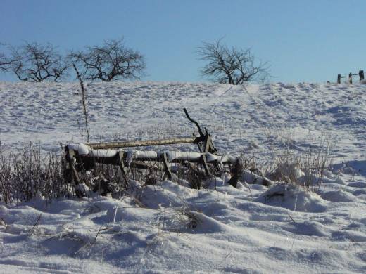 Foto(c)H.-Ulrich Apel