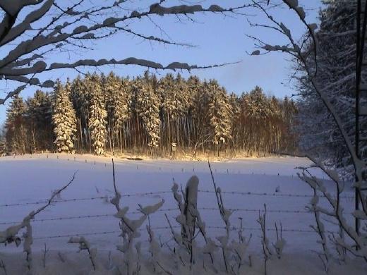 Foto(c)H.-Ulrich Apel