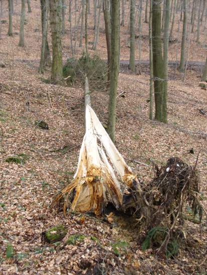 Foto(c)H.-Ulrich Apel