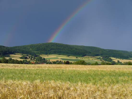Foto(c)H.-Ulrich Apel