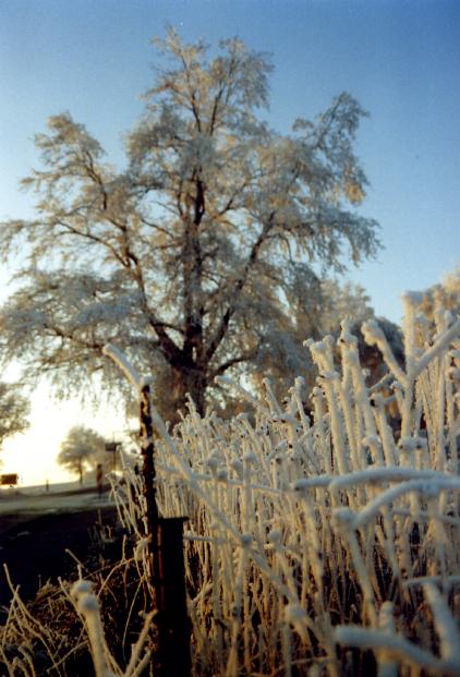 Foto(c)H.-Ulrich Apel