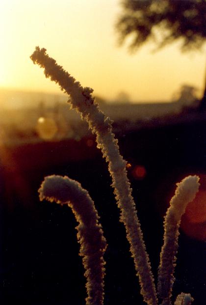 Foto(c)H.-Ulrich Apel