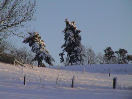 Foto(c)H.-Ulrich Apel