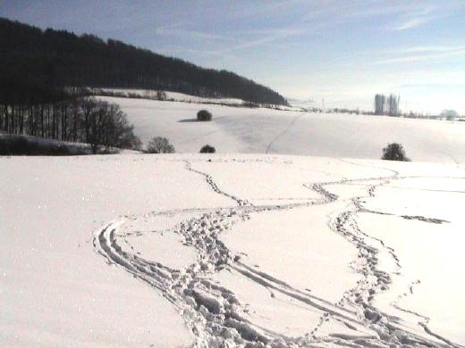 Foto(c)H.-Ulrich Apel